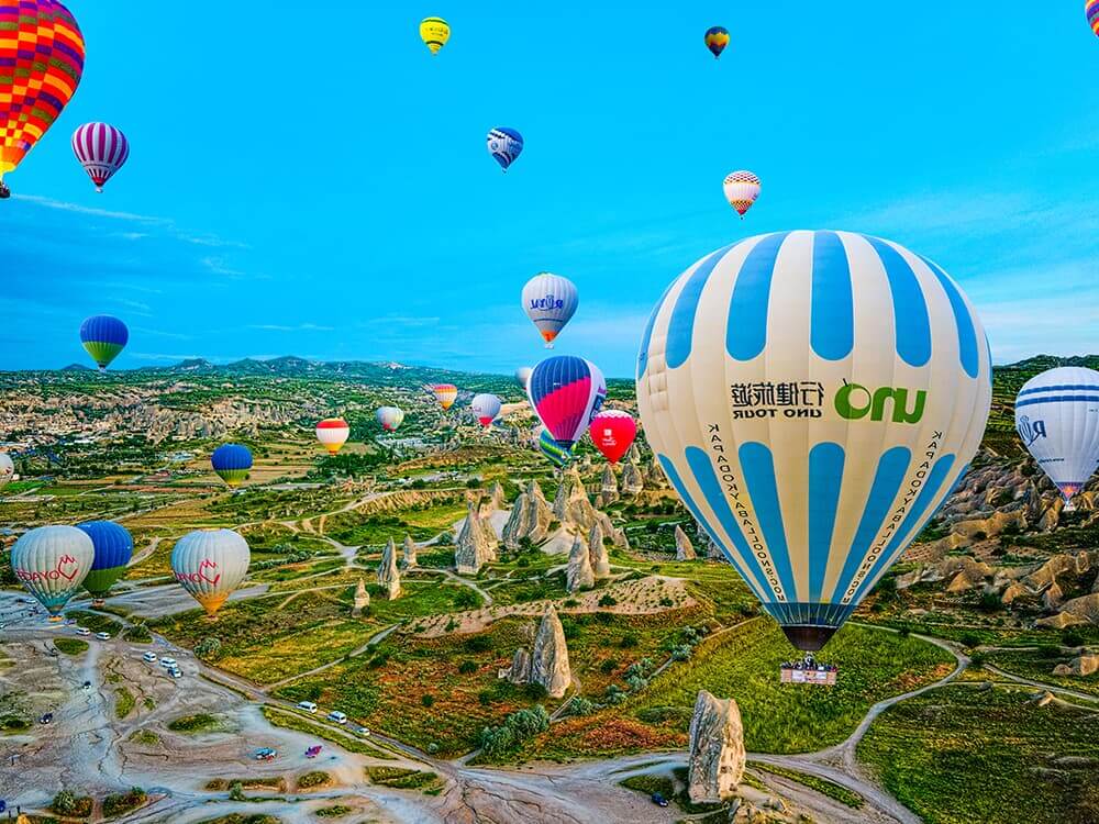 Brooklyn Christmas Lights Tour